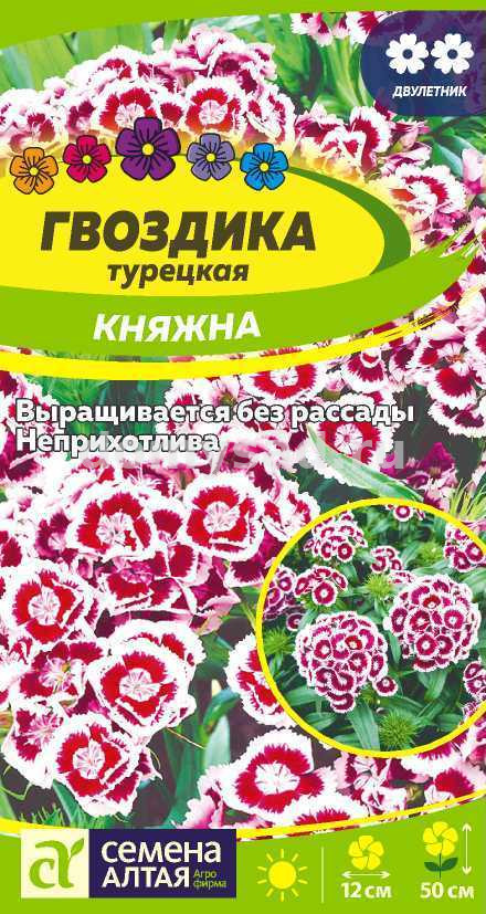 Гвоздика Турецкая Княжна (Семена Алтая) Ц