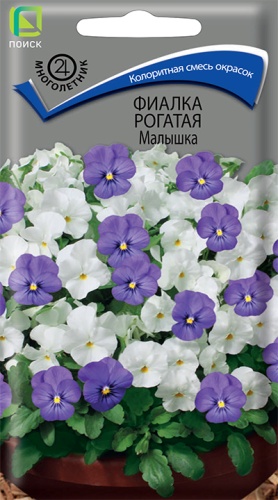 Виола рогатая Малышка (Поиск) Ц