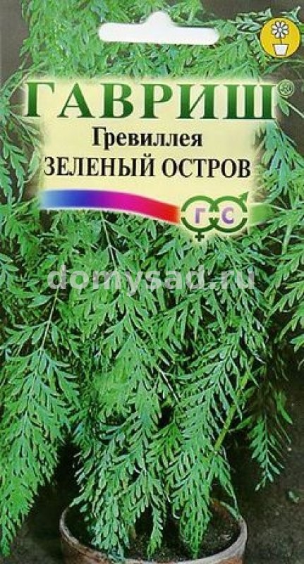 Гревиллея Зеленый остров (Гавриш) Ц