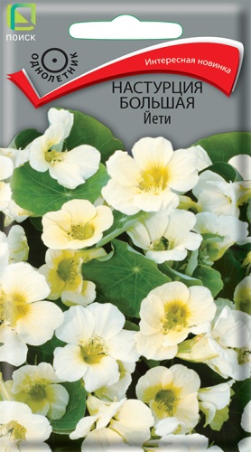 Настурция Йети большая (Поиск) Ц
