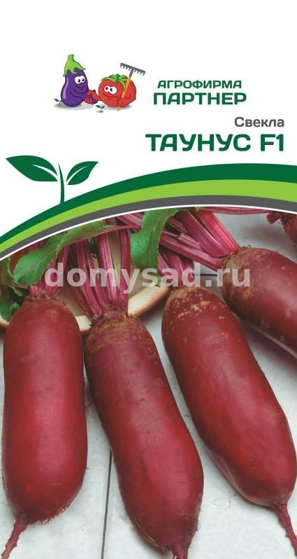 св.КАЛИПСО F1 (Партнер) Ц