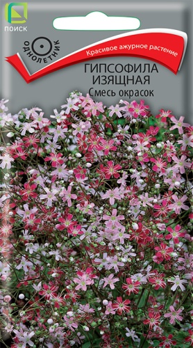 Гипсофила изящная Смесь (Поиск) Ц