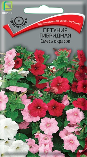 Петуния Смесь окрасок гибридная (Поиск) Ц