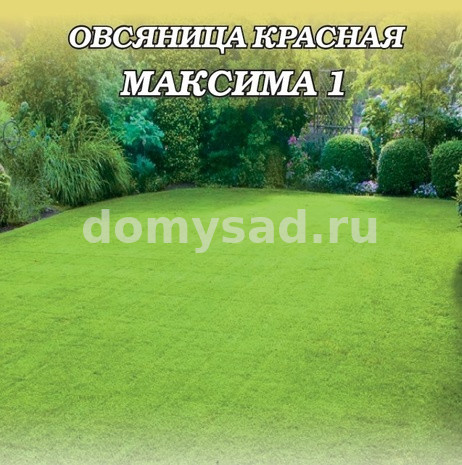 Овсяница Красная Максима-1, 300гр. (Гавриш) Ц