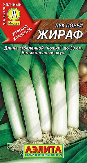 Лук порей Жираф (Аэлита) Ц