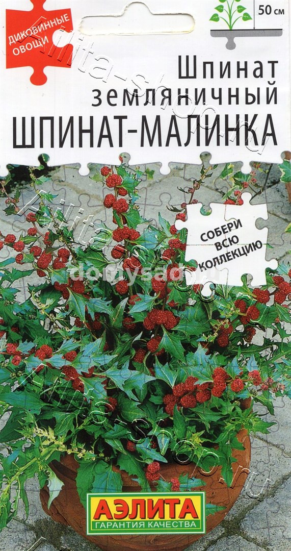 Шпинат земляничный Шпинат-малинка (Аэлита) Ц