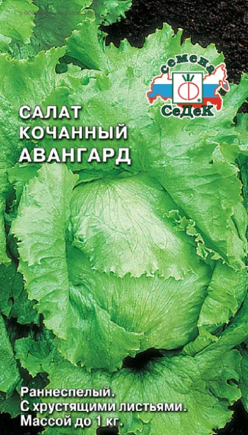 Салат Авангард (айсберг) КОЧАННЫЙ,ЗЕЛЕНЫЙ Седек Ц