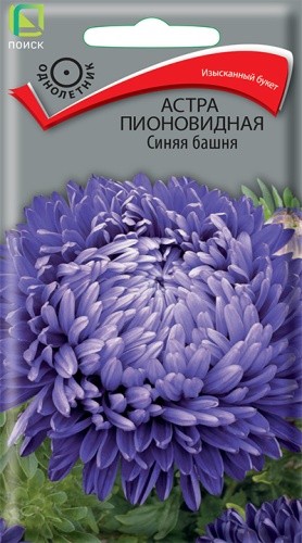 а.Синяя башня пионовидная (Поиск) Ц