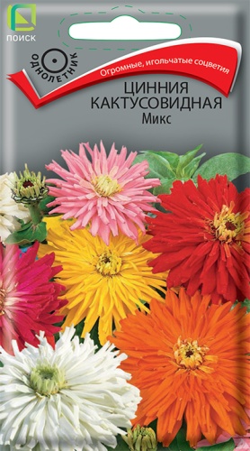 Цинния Кактусовидная Микс (Поиск) Ц