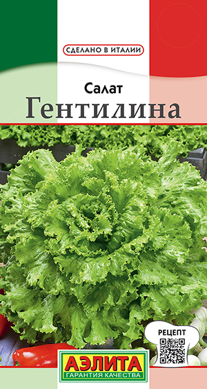 Салат Гентилина (Аэлита) Ц