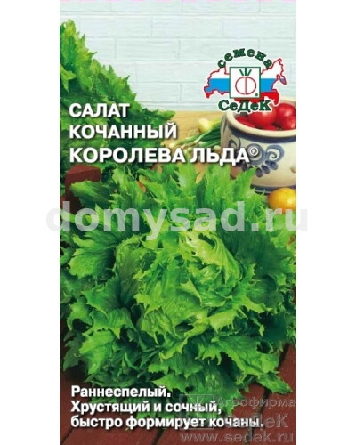 Салат Королева Льда КОЧАННЫЙ,ЗЕЛЕНЫЙ ( Айсберг) (Седек) Ц