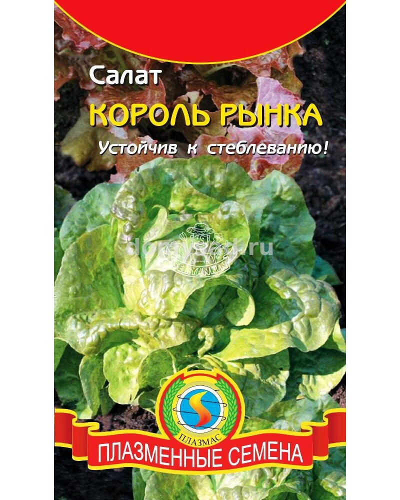 Салат Король Рынка КОЧАННЫЙ,ЗЕЛЕНЫЙ 1гр. (НК) Ц