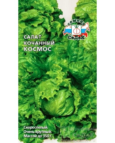 Салат Космос (айсберг) КОЧАННЫЙ,ЗЕЛЕНЫЙ (Седек) Ц