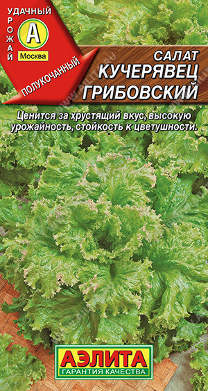 Салат Кучерявец Грибовский ПОЛУКОЧАННЫЙ,ЗЕЛЕНЫЙ (Аэлита) Ц