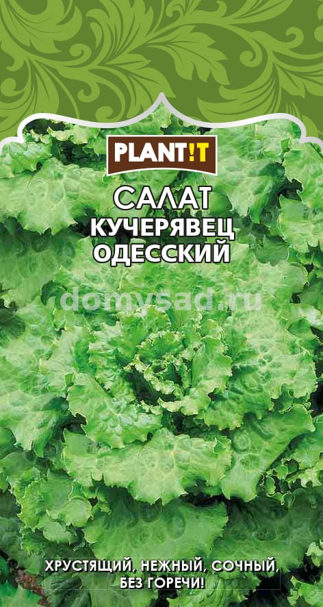 Салат Кучерявец Одесский 0,25гр. (PLANT!T) Ц
