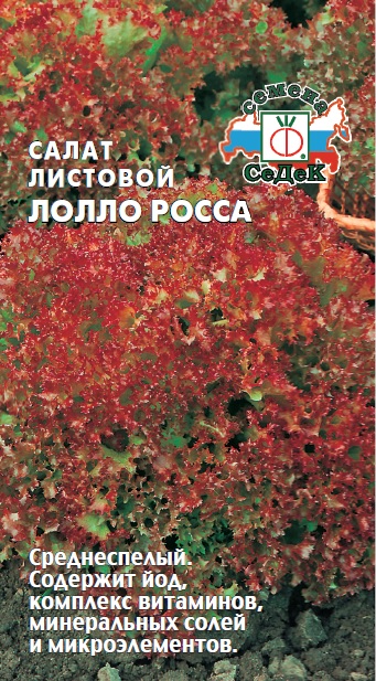 Салат Лолло Росса листовой (Седек) Ц