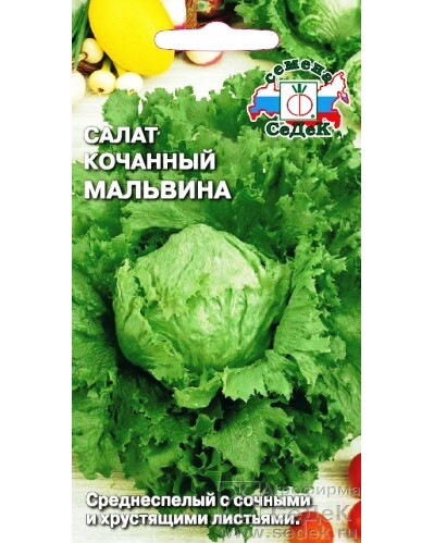 Салат Мальвина КОЧАННЫЙ,ЗЕЛЕНЫЙ (Седек) Ц