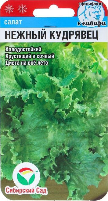 Салат Нежный Кудрявец 1гр.ЛИСТОВОЙ,ЗЕЛЕНЫЙ (Сибирский сад) Ц