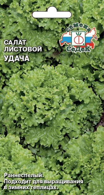 Салат Удача листовой (Седек) Ц