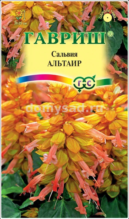 Сальвия Альтаир карликовая (Гавриш) Ц