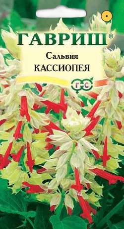 Сальвия Кассиопея карликовая смесь 5шт. (Гавриш) Ц