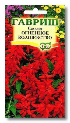 Сальвия Огненное волшебство (Шалфей) 0,1 гр. (Гавриш) Ц