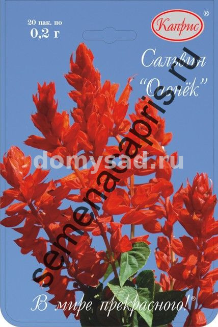 Сальвия Огонёк п.2892 (Германия) НАБОР 20 ПАЧЕК (Каприс)