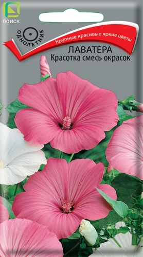 Лаватера Красотка смесь (Поиск) Ц