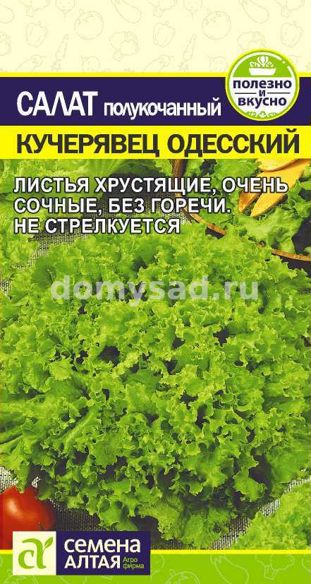 Салат Кучерявец Одесский 0,5гр. ПОЛУКОЧАННЫЙ,ЗЕЛЕНЫЙ (Семена Алтая)Ц