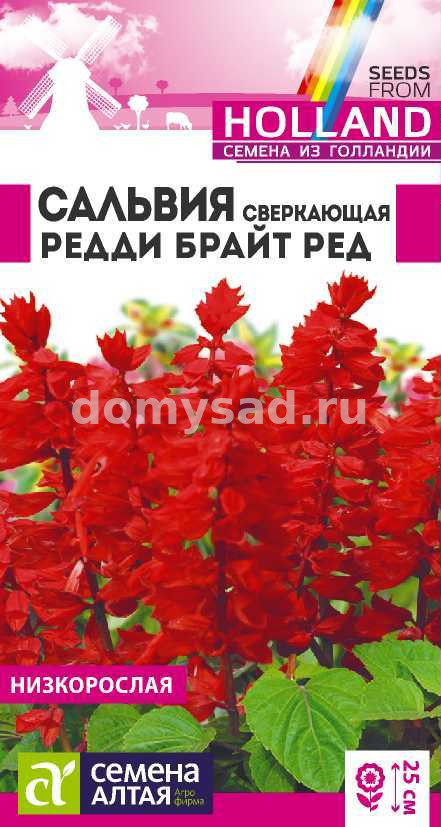 Сальвия Редди Брайт Ред 5шт (Семена Алтая)Ц