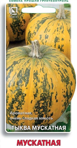 Тыква мускатная Мускатная (Поиск) Ц