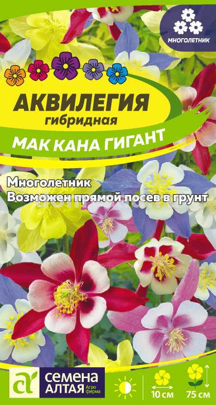 Аквилегия Мак Кана Гигант (Семена Алтая) Ц