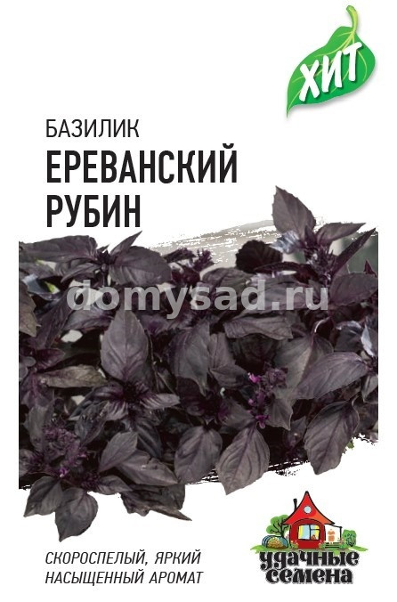 Базилик ФИОЛЕТОВЫЙ Ереванский рубин 0,1г ХИТ х3 (Гавриш) Ц