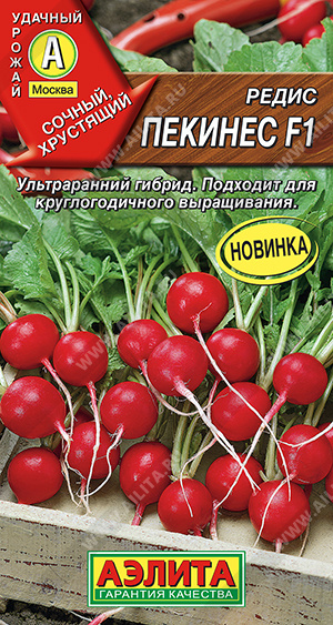 ред.Пекинес (Аэлита) Ц