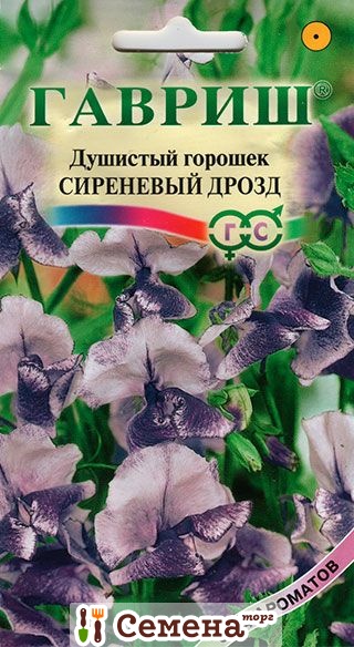 Душистый горошек Сиреневый дрозд*Сад ароматов (Гавриш) Ц