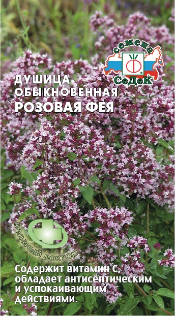 Душица Розовая Фея (Седек) Ц