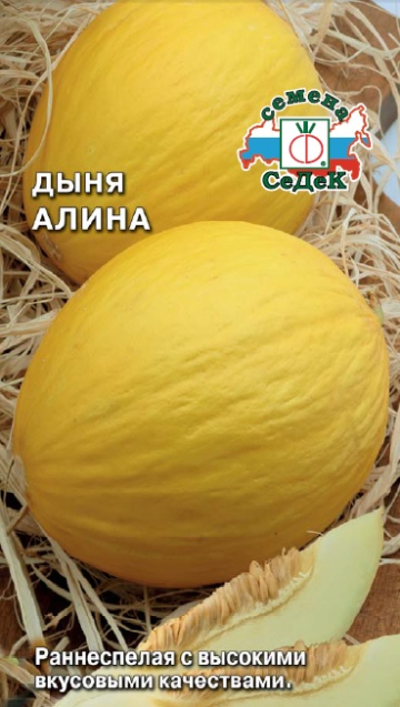 Дыня Алина (Седек) Ц