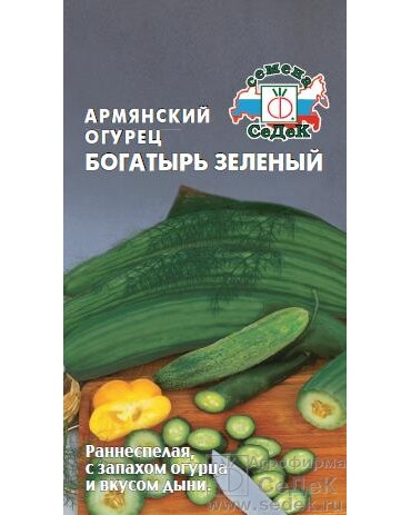 Дыня Армянский огурец "Богатырь зеленый" (Седек) Ц