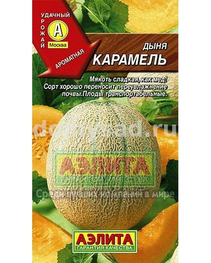 Дыня Карамель (Аэлита) Ц