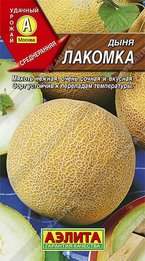 Дыня Лакомка (Аэлита) Ц