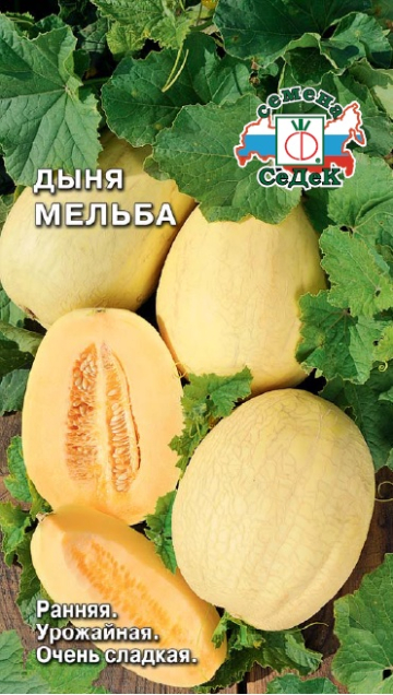 Дыня Мельба (Седек) Ц