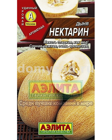 Дыня Нектарин (Аэлита) Ц