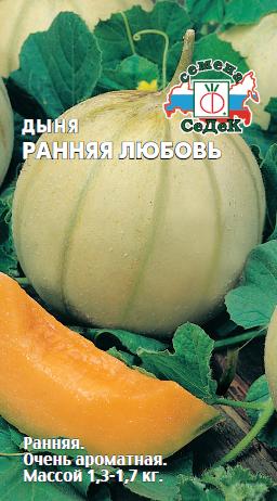 Дыня Ранняя любовь (Седек) Ц