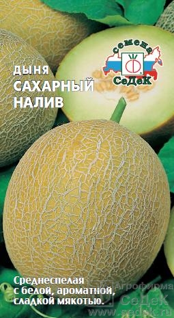 Дыня Сахарный налив (Седек) Ц