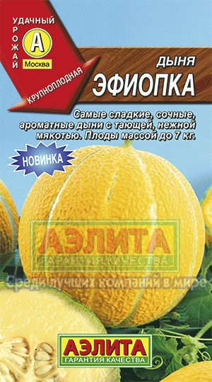 Дыня Эфиопка (Аэлита) Ц