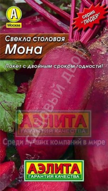 св.Мона (Аэлита) ЛИДЕР