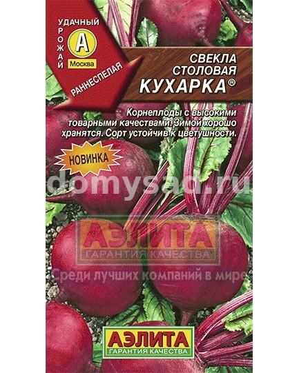 св.Наоми (Аэлита) Ц