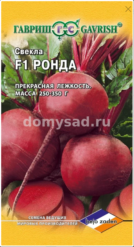 св.Ронда (Голландия) (Гавриш) Ц