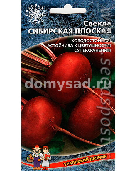 св.Сибирская плоская (Уральский дачник) Ц