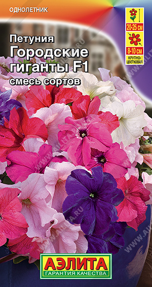 Петуния Городские гиганты F1 смесь (Аэлита) Ц